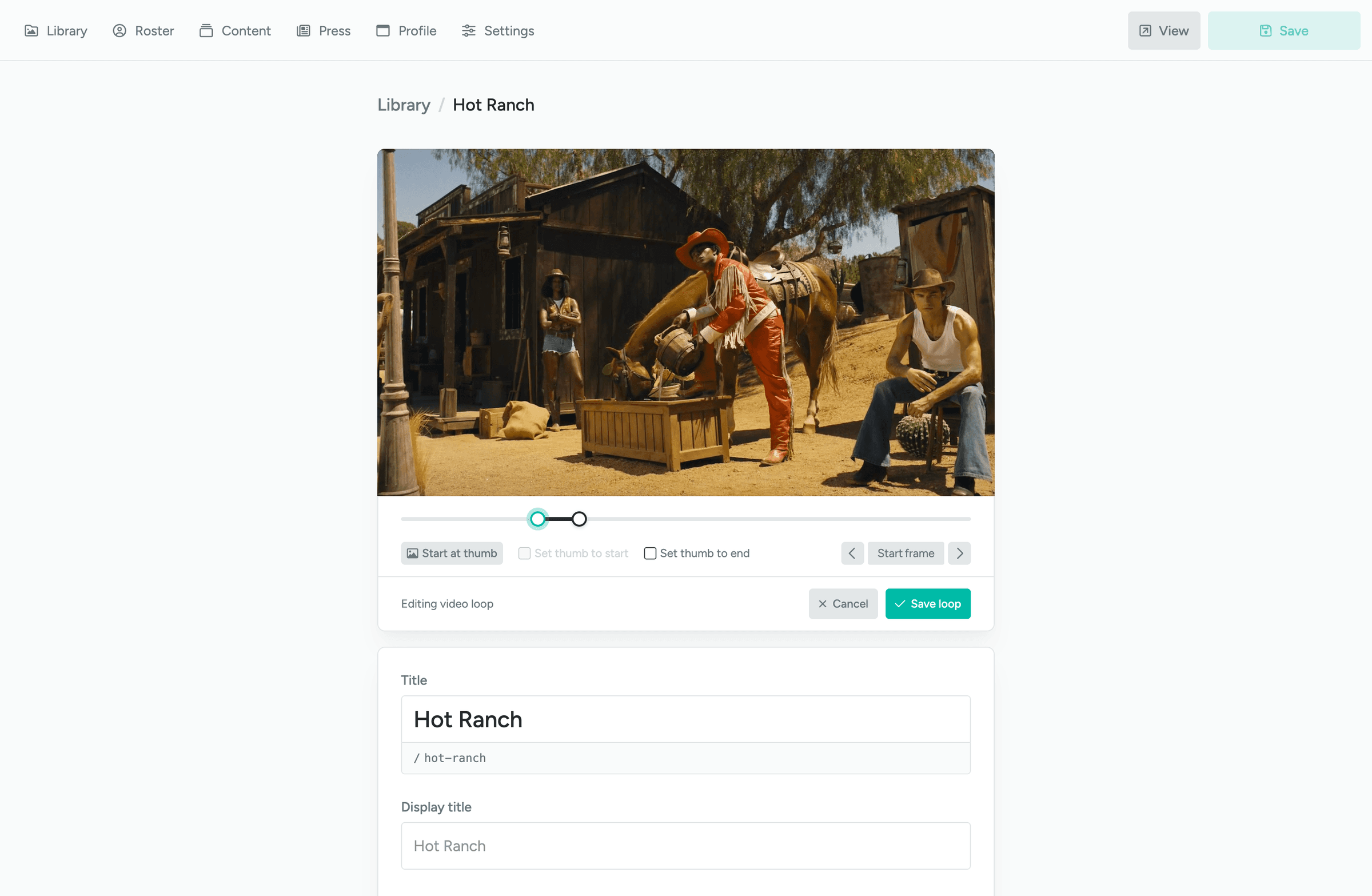 Video loop editor