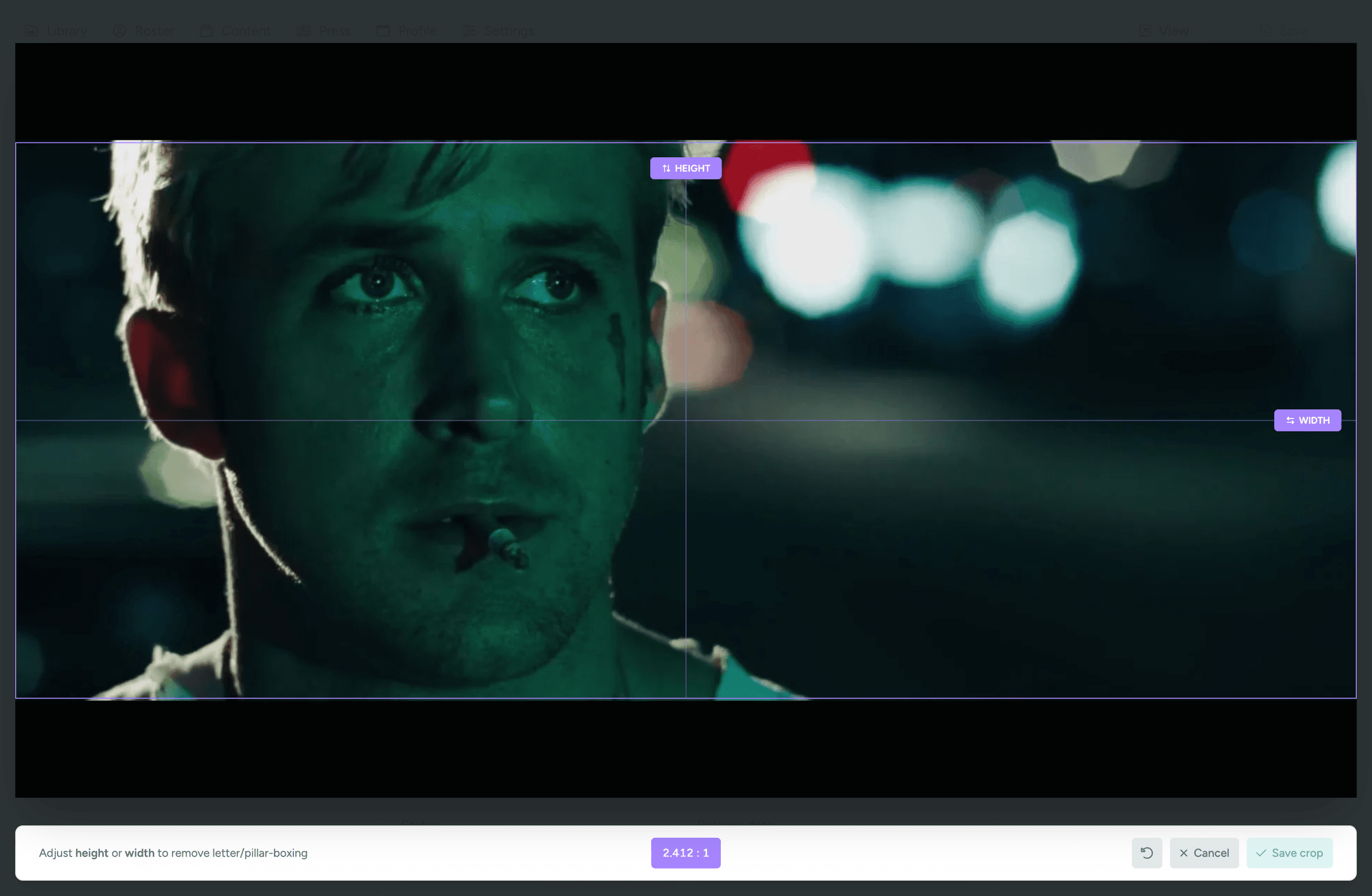 Video crop editor